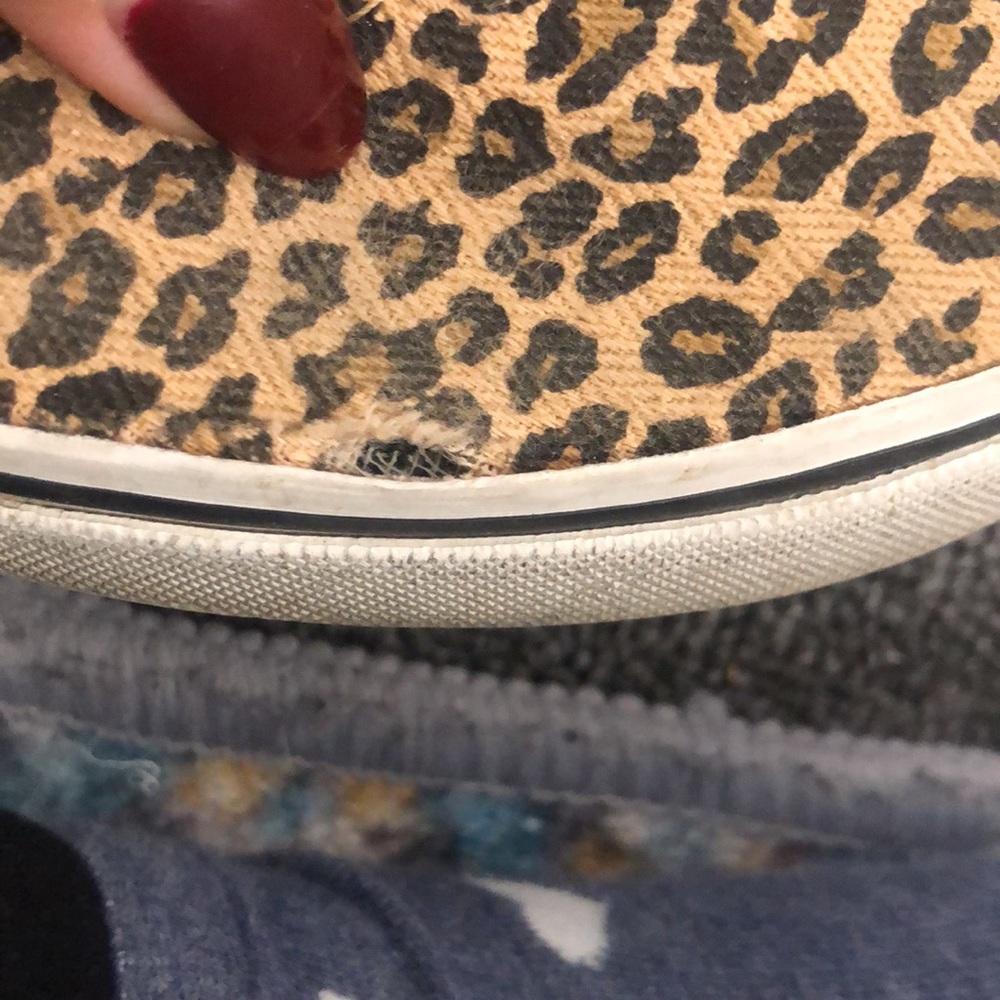 Cheetah Vans - Picture 5 of 6